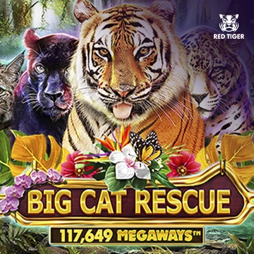 Big Cat Rescue Megaways - JPMAXWIN188