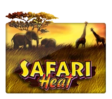 Safari Heat - JPMAXWIN188