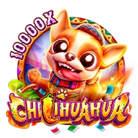 CHILIHUAHUA - JPMAXWIN188