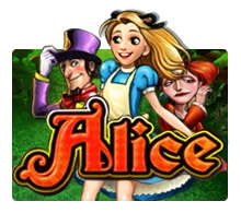 Alice - JPMAXWIN188