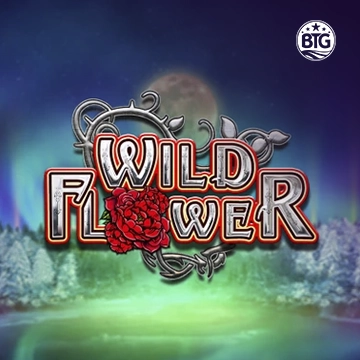 Wild Flower - JPMAXWIN188