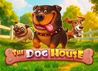 The Dog House - JPMAXWIN188